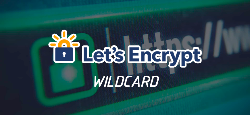 Wildcard сертификат. Wildcard SSL. Letsencrypt Wildcard. SGC ov SSL Wildcard логотип.
